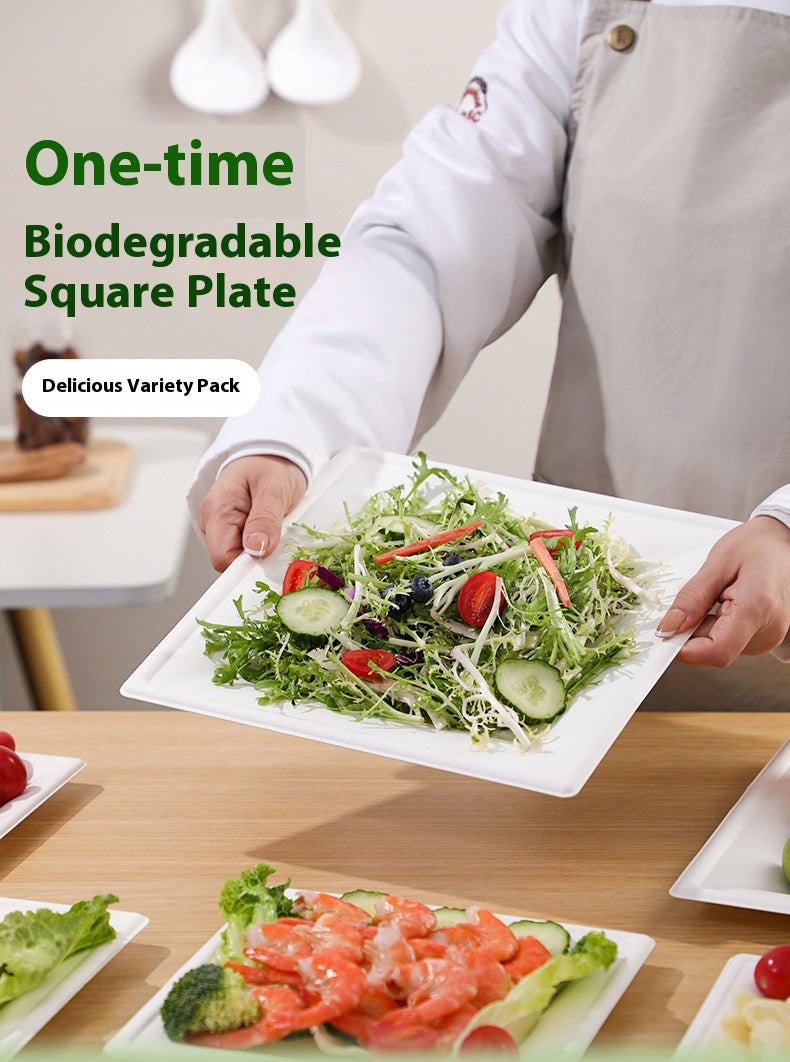 100% Compostable Square Paper Plates 50 Pack Heavy Duty Biodegradable Bagasse Dinner Plates
