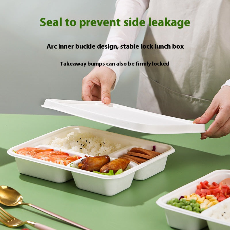 Compostable 50 Pack Heavy Duty Takeout Boxes Biodegradable Sugarcane Bagasse To-Go Containers