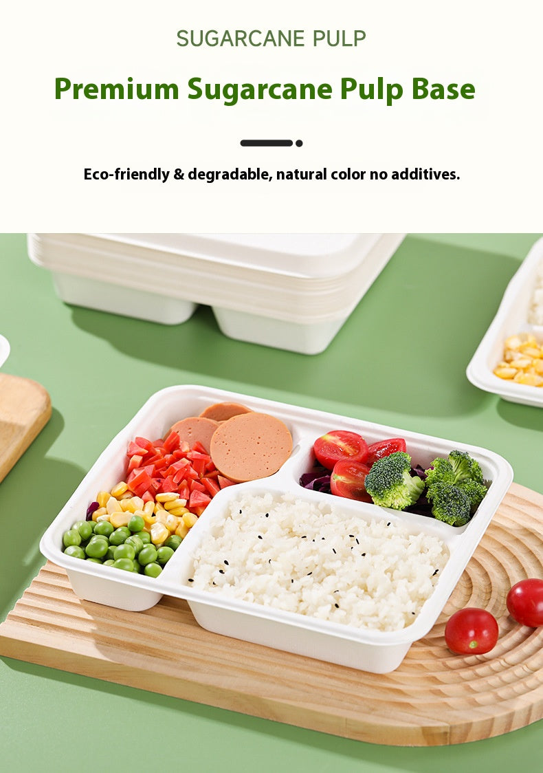 Compostable 50 Pack Heavy Duty Takeout Boxes Biodegradable Sugarcane Bagasse To-Go Containers