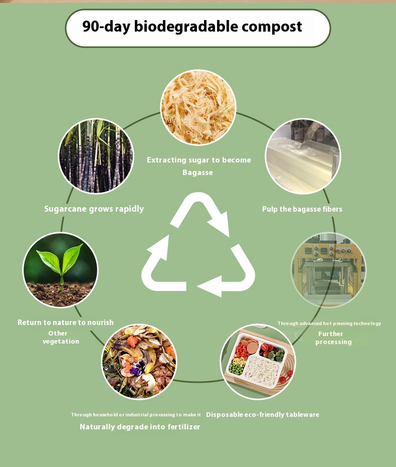 100% Compostable Square Paper Plates 50 Pack Heavy Duty Biodegradable Bagasse Dinner Plates